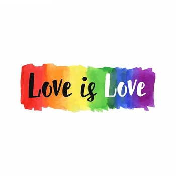 Mīlestība Ir mīlestība Geju Praidu LGBT Auto Uzlīmes Ūdensizturīgs Sauļošanās Vinila Decal par JDM Bufera Bagāžnieka Kravas automašīnu Grafikas,13cm*4cm